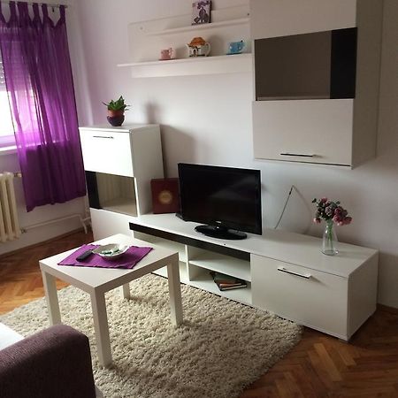 Tami Apartment Novi Sad Esterno foto