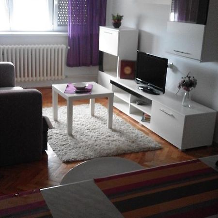 Tami Apartment Novi Sad Esterno foto