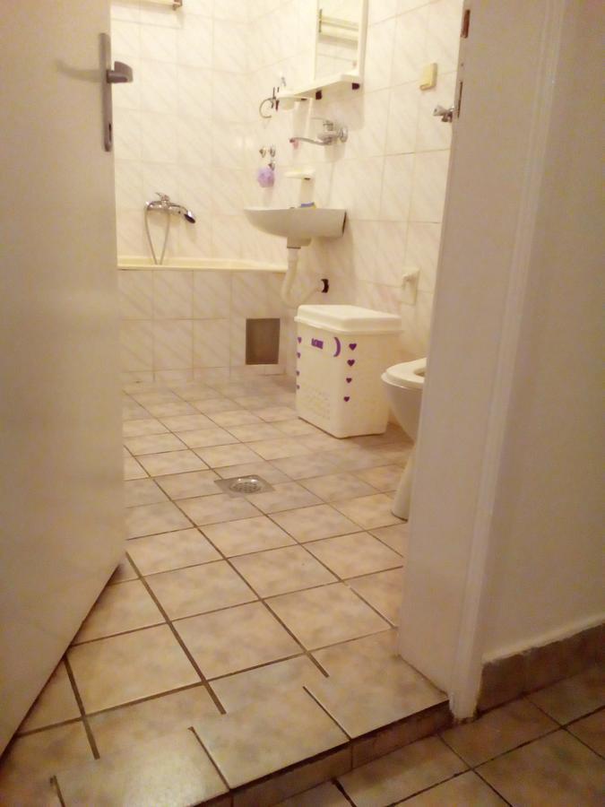 Tami Apartment Novi Sad Esterno foto