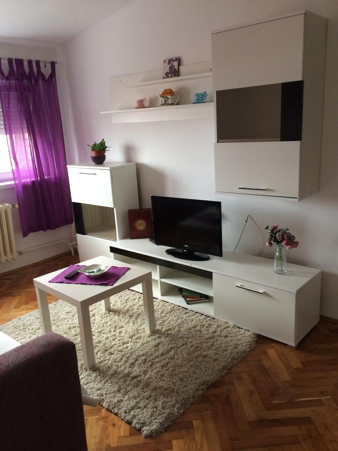 Tami Apartment Novi Sad Esterno foto